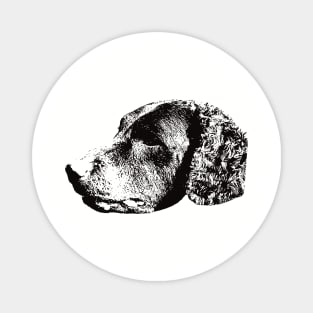 Curly Coated Retriever gift for Retriever Owners Magnet